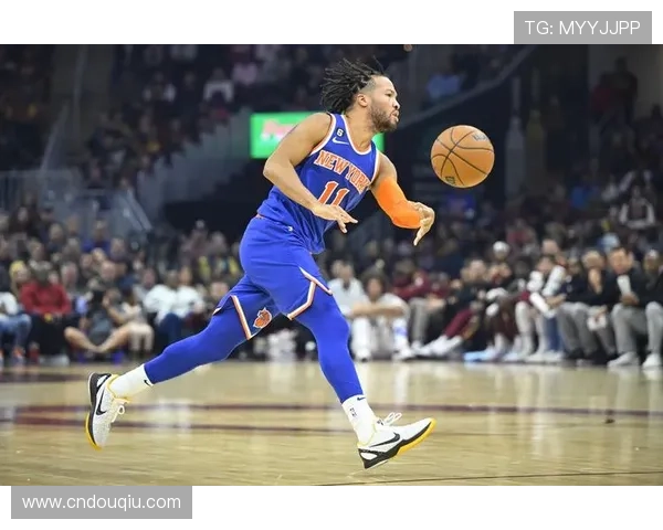 如何快速下载斗球体育APP并完成注册使用全攻略