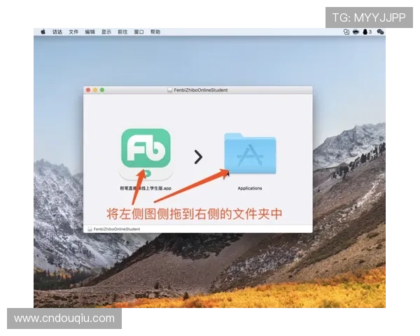 官方正版斗球直播app下载安装指南，确保软件安全与稳定运行