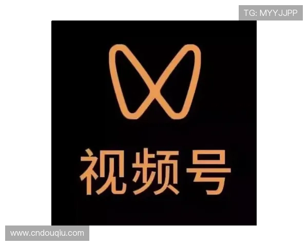 斗球app安卓下载最新版本用户评价，真实反馈帮助你做出下载安装决定