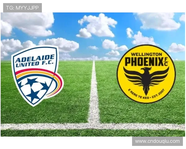 斗球即时比分为用户提供专业的比赛数据分析和比分预测服务 斗球即时比分为用户提供专业的比赛数据分析和比分预测服务