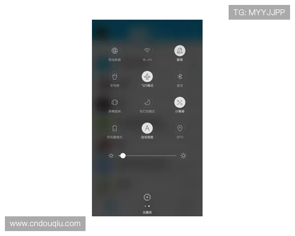 斗球官网打不开的常见原因及恢复访问的实用技巧