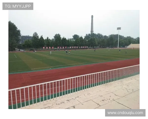 如何选择安全稳定的斗球看球app下载渠道，保障您的观看体验与账号安全