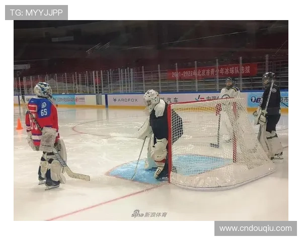 斗球看球平台：打造最专业的足球直播观看体验