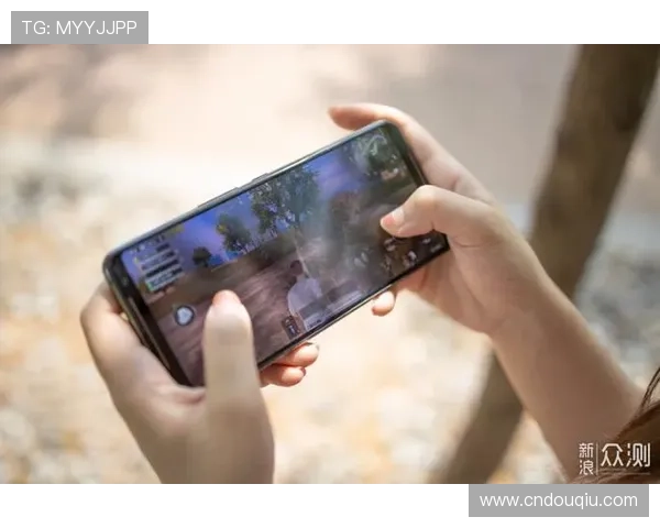 斗球网页版入口官网全面解析游戏特色与玩法技巧，助你快速上手