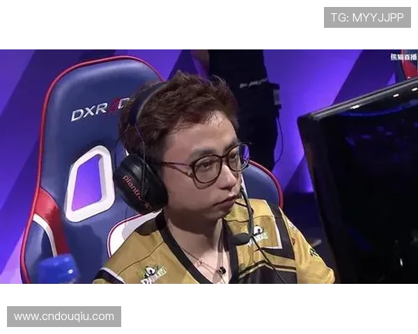 dqtv斗球官网提供的专业赛事直播与精彩赛事回放指南